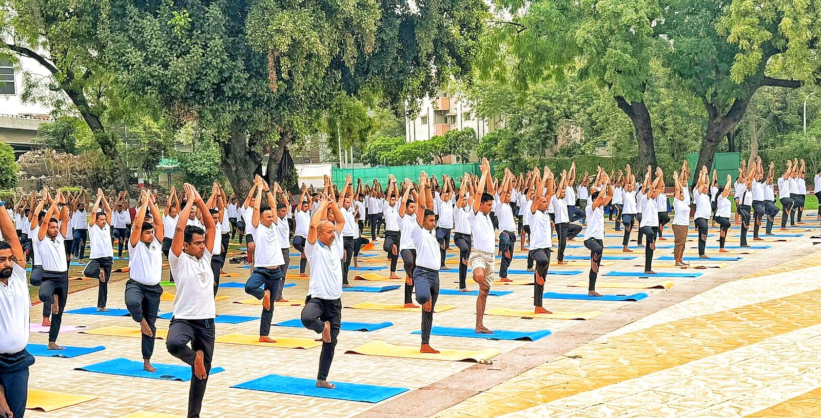Group-Yoga-Classes